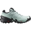 Salomon Women's Speedcross 6 GTX Aqua Black Yucca