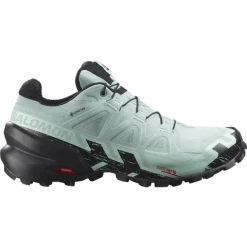 Salomon Women's Speedcross 6 GTX Aqua Black Yucca