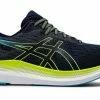Asics Men's Evoride 2